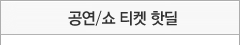 핫딜 공연/쇼